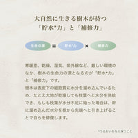 byTREES リフレッシュエアドライシャンプーミスト 120ml (シトラスホワイトティー)