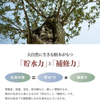 byTREES さらグロッシー スリークボンドエマルジョン 100ml